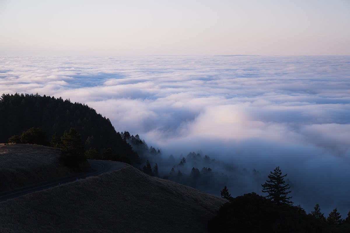 Sea of clouds rolling below a forested ridge at dusk